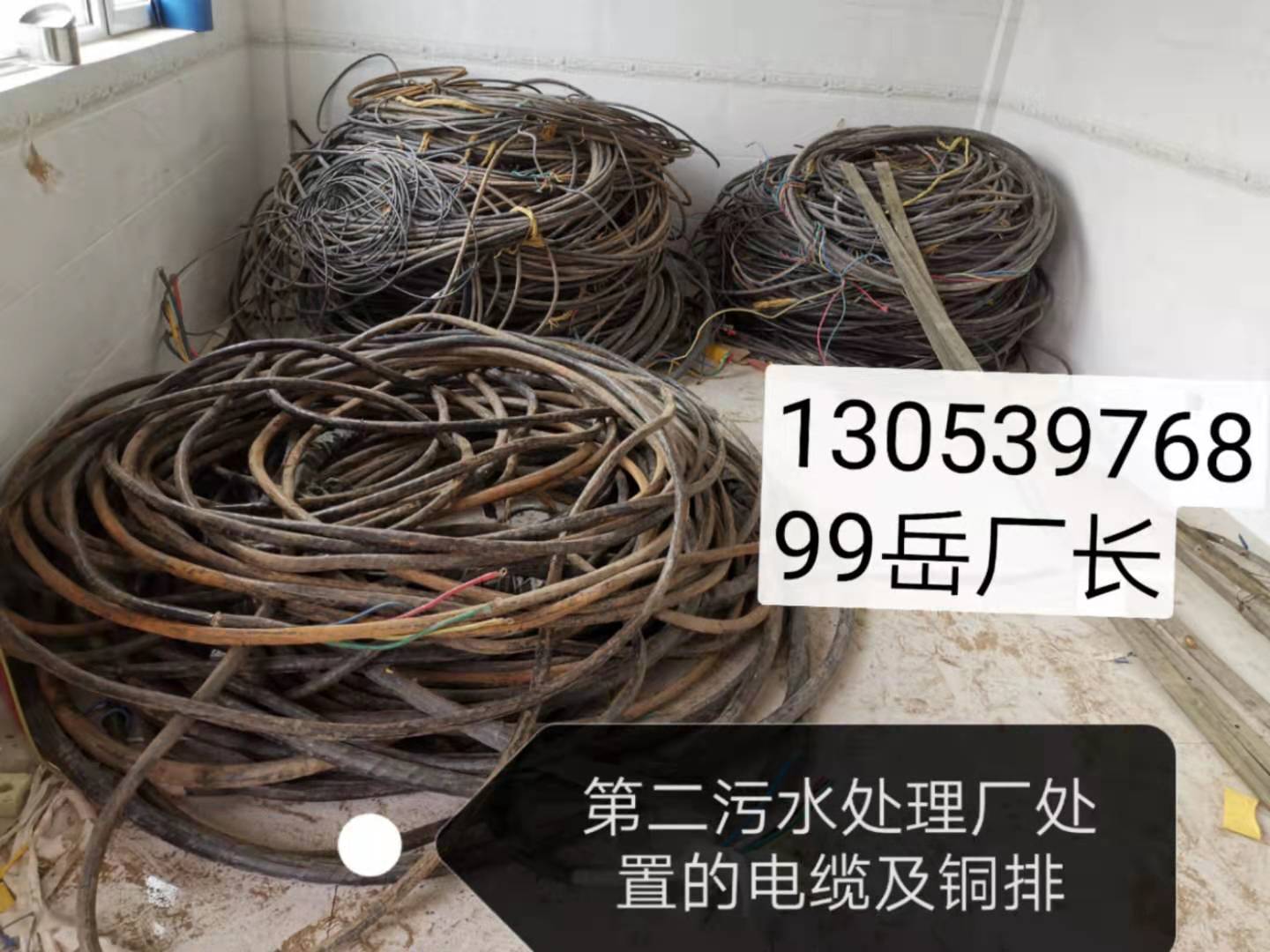 ���õ��£��ּۣ�[�Ѿ���]