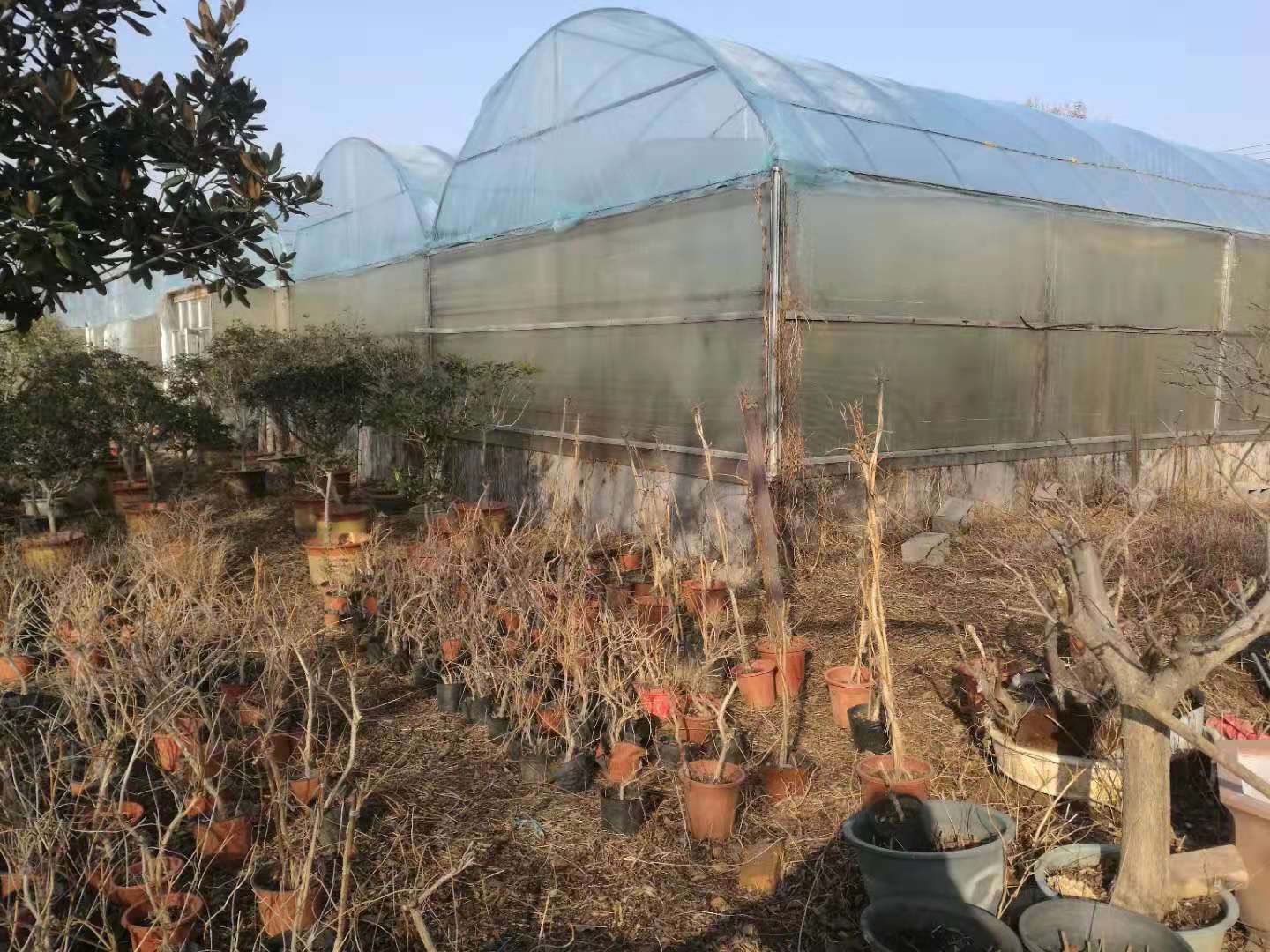 ��ׯ��С���������������ؼ��������[�Ѿ���]