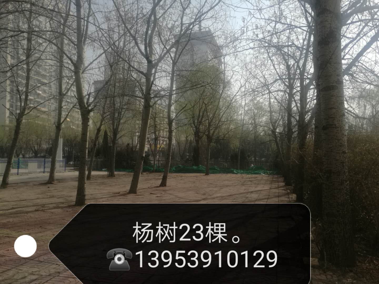 ����23��[�Ѿ���]